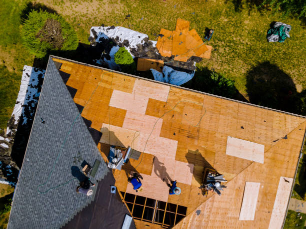 Best Roof Gutter Cleaning  in China Grove, NC